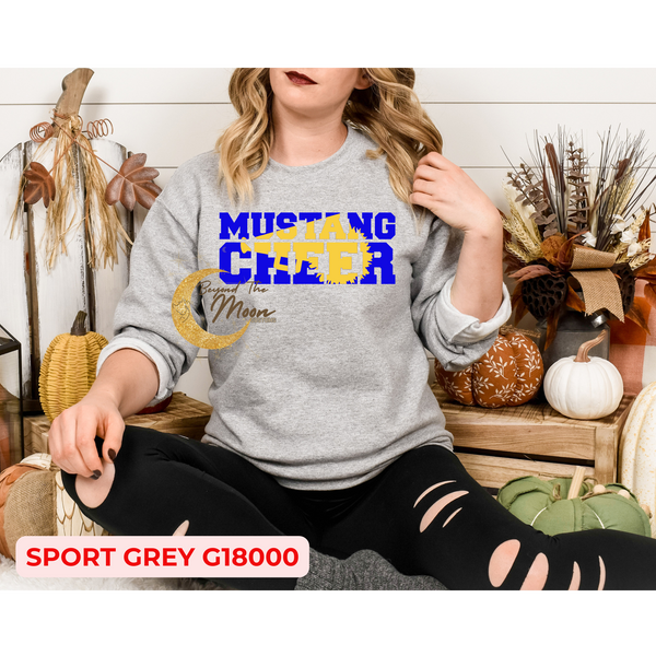 OOLOGAH 2ND GRADE CHEER FUNDRAISER